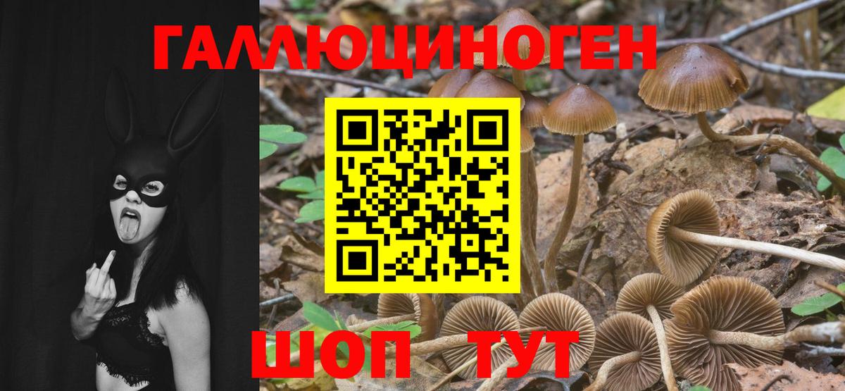 Галлюциногенные грибы MAGIC MUSHROOMS Киселёвск