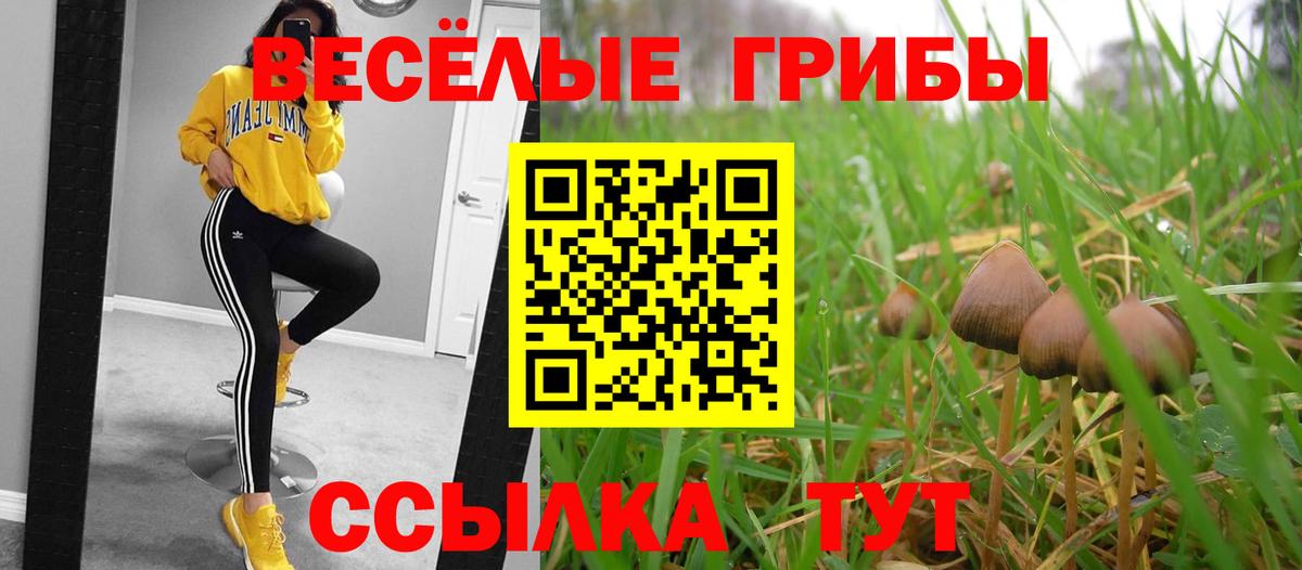Галлюциногенные грибы Magic Shrooms  Вход с VPN  Псилоцибиновые грибы мицелий  Киселёвск 